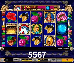 Live Casino 5567